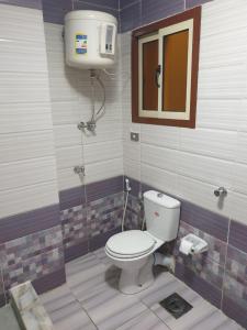 Apartment Alexandria City Center