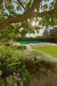 Charming Trullo with Private Pool and Spa - Trullo Amarcord