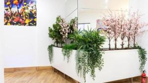 Ilustre Rooms Malaga