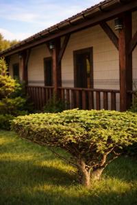 Готель-ресторан "Колиба"