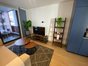 Fully Furnished 1 Bedroom Apartment in Greystar Somma