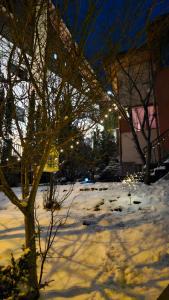 MontArte - Private Art retreat Villa