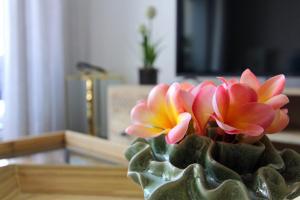 DAM1 - Disneyland Paris & Val dEurope - Parking & Wifi