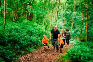 Coldingham Essential Clover Caravan 1