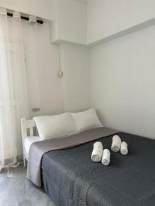 Modern & Comfortable House