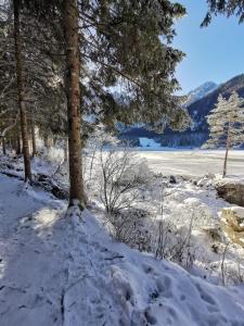 SkiLift Tarvisio Apartment Free Parking