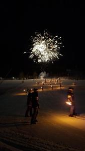 SkiLift Tarvisio Apartment Free Parking