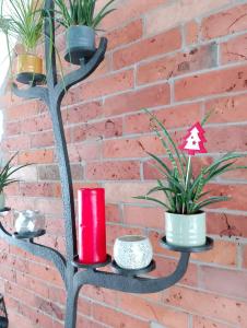 Chata Otulina Radków - dom u podnóża Gór Stołowych