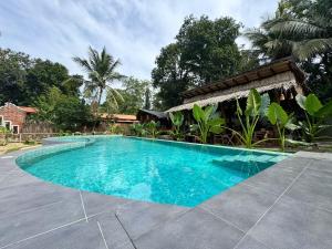 The Elephant Next-Door