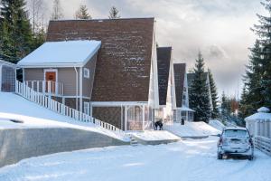 Freeman-1a - двокімнатний апартамент на увесь перший поверх котеджу - це виокремлена незалежна ЧАСТИНА БУДИНКУ з окремим входом з великою тер