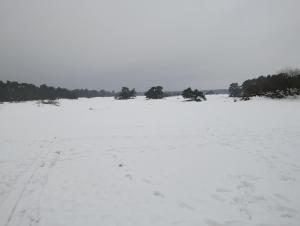 Het Vijverhuisje - Recreation only