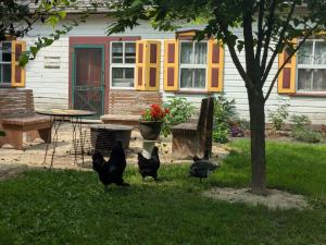 The Herdsman House
