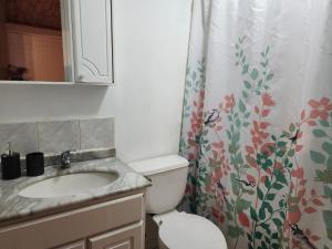 Amplia casa 4 dormitorios 8 personas a 3 cuadras de Ohiggins