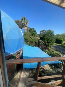 Eco Sacred Geometry Dome Conscious Experience