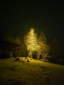 Bencekerti kulcsosház