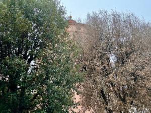 La Casa degli Artisti