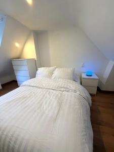 Le Marais Réaumur Charlot