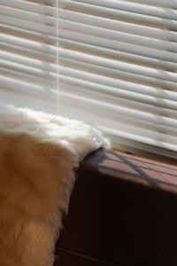 Cedar Wrapped Cozy Villa Cabin - 4 miles from Trails