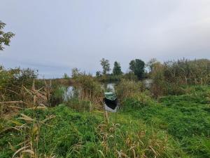 Comfy apartment near castle, park, market and river