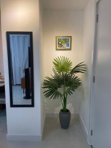 Apartamento perto da praia do Recreio com piscina