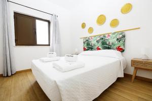 A48 - Windmill 1 Bed Apartment in Odiaxere