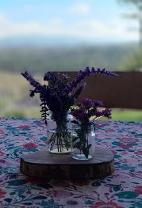 Mirador Oeste Potrero de Garay