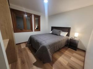 Apartments Patagonia Valdivia