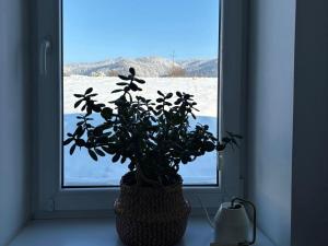 Apartament Babie Lato