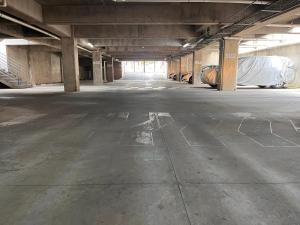 Guadalajara Depa - Zoo