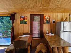 Entre Castaños y Coihues Lodge