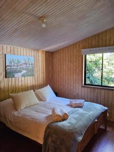 Entre Castaños y Coihues Lodge