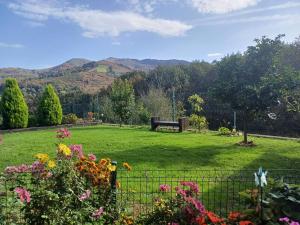 El eco de los robles