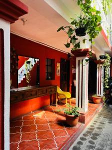 Cristales de Antigua La Calzada