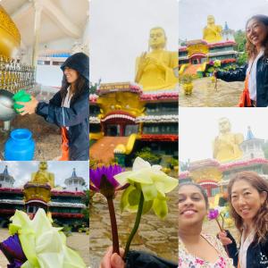 Zensigiri Ayurveda Wellness Homestay