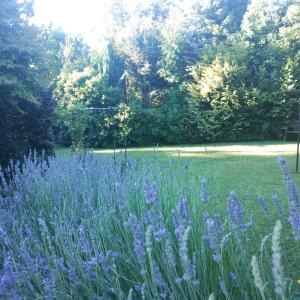 Cabañas Pétalos Villarrica Bungalows 2 personas