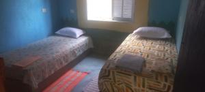 De la rosa y el canto de los pájaros