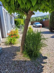 Happyfugu Domki Letniskowe