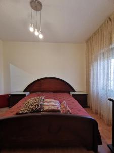 Jubeiha Home