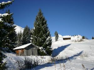 Studio cosy au Praz de Lys, centre, proche pistes - FR-1-815-13