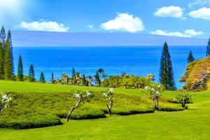 NEW KBM Resorts: Kapalua Ridge Villas KRV-2314 Sweeping Ocean GolfMountain Views wRental Car