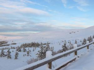 Mountain Hare Apartment