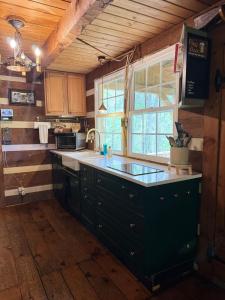 Cozy Cabin Escape Hot Tub & Lake Access