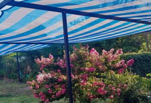 ARROYO SERRANO-MINA CLAVERO