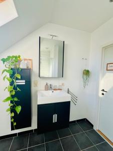 Ruime studio met eigen ingang en private badkamer