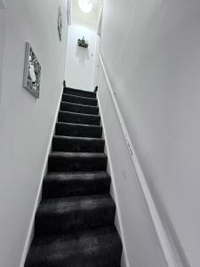 Homely Whittier Terrace 3 Bedroom House