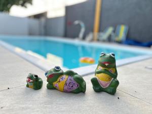 Estúdio Encantador em Boa Vista