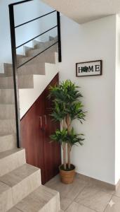 Casa completa con alberca compartida y jardín en Xochitepec