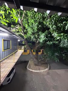 Estúdio Encantador em Boa Vista