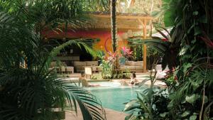 Norte Nosara - Steps to Playa Guiones