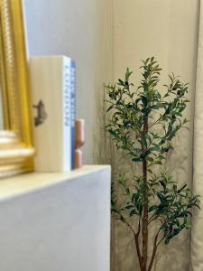 Le Cloud - By BEST KEYS - Idéal Couple & Pro - Cosy & Élégant - Plein Centre Ville - Smart TV Netflix - Machine à Café Nespresso - WiFi Illimité - Check-in Autonome - Parking Gratuit à proximité